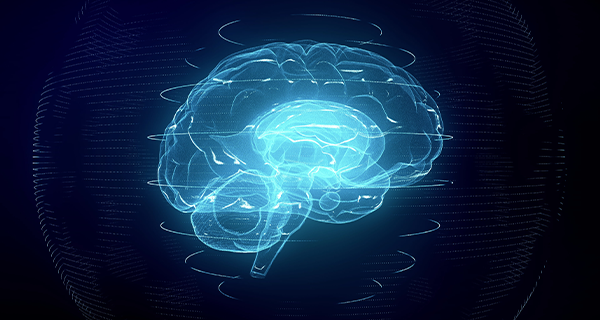¿Qué es la neuroplasticidad y cómo puede ayudar a los emprendedores?